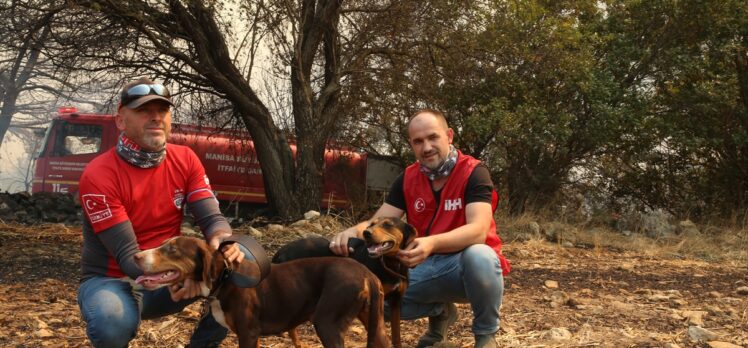 İHH gönüllüleri Çanakkale'deki yangında barakada mahsur kalan 2 köpeği kurtardı