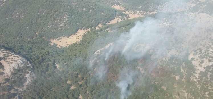 İzmir'de çıkan orman yangınına müdahale ediliyor