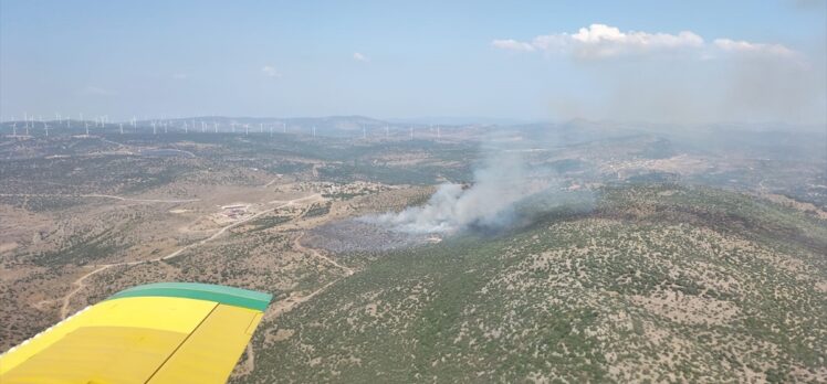 İzmir'de makilik alandaki yangına müdahale ediliyor