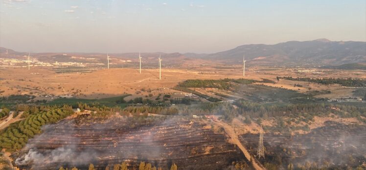 İzmir'in Aliağa ilçesinde orman yangını çıktı