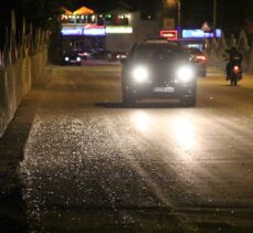 Sakarya'da birgün sineklerinin “ölüm uçuşu” başladı