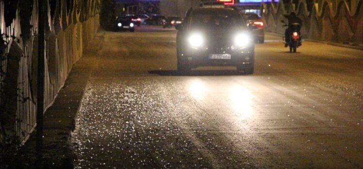 Sakarya'da birgün sineklerinin “ölüm uçuşu” başladı