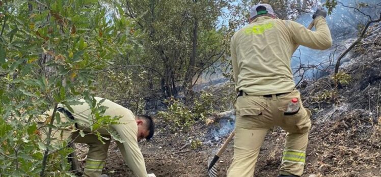 Siirt'te ormanlık alanda çıkan yangın söndürüldü