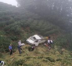 Trabzon'da kamyonetin şarampole devrilmesi sonucu 2 kişi öldü