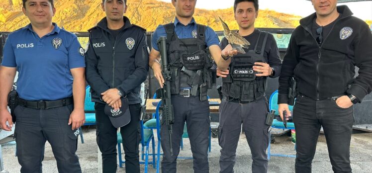 Hakkari'de polislerin bulduğu yaralı balaban koruma altına alındı