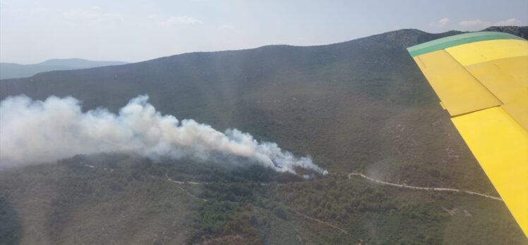 GÜNCELLEME – İzmir'de çıkan orman yangını kontrol altına alındı