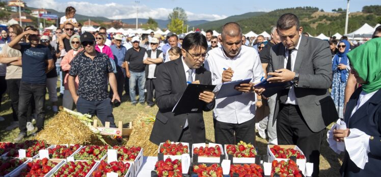 Sakarya'da Çilek Festivali düzenlendi