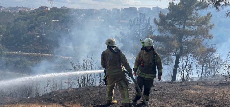 Sultangazi'de ormanlık alanda yangın çıktı