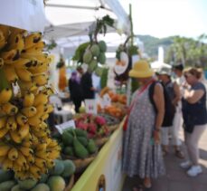 2. Alanya Tropikal Meyve Festivali başladı