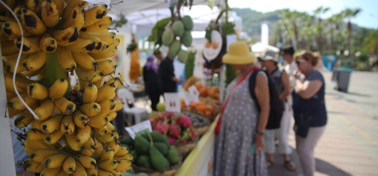 2. Alanya Tropikal Meyve Festivali başladı