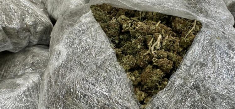 Diyarbakır'da 257 kilo skunk ele geçirildi