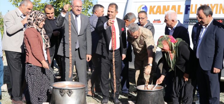 Elazığ'da “17. Geleneksel Üzüm Festivali ve Bağ Bozumu” etkinliği yapıldı