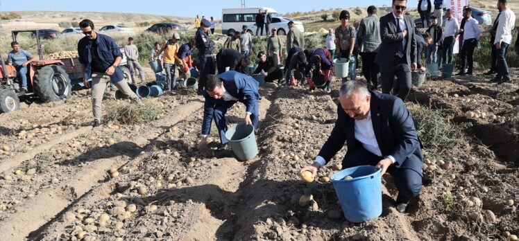 Nevşehir Valisi Ali Fidan, patates hasadında işçilerle “kova attı”