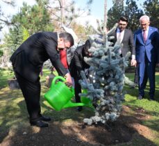 Cumhurbaşkanı Yardımcısı Yılmaz, Milli Ağaçlandırma Günü dolayısıyla fidan dikti: