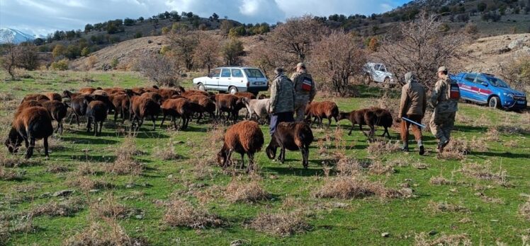 Elazığ'da kaybolan 40 koyun dron görüntüleriyle bulundu