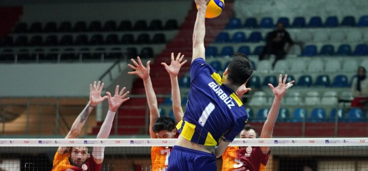 Voleybol: AXA Sigorta Efeler Ligi