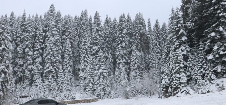 Ilgaz Dağı'nda kar kalınlığı 10 santimetreyi geçti