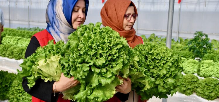 Organ Nakli Koordinatörleri Derneğinden organ bağışında farkındalık toplantısı