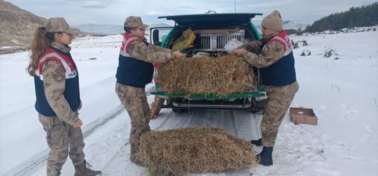 Ardahan'da jandarma timi yaban hayvanları için doğaya yem bıraktı