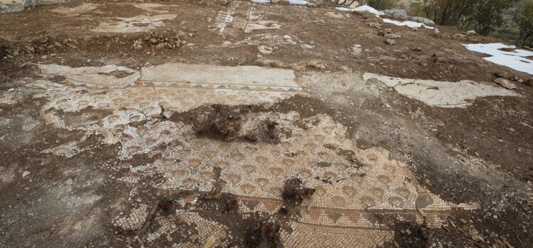 Mardin'de kurtarma kazısında deniz canlıları figürlü mozaikler bulundu