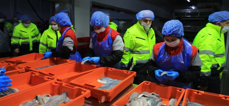 TBMM Balıkçılık ve Su Ürünleri Araştırma Komisyonu üyeleri, Muğla'da balık çiftliklerini inceledi