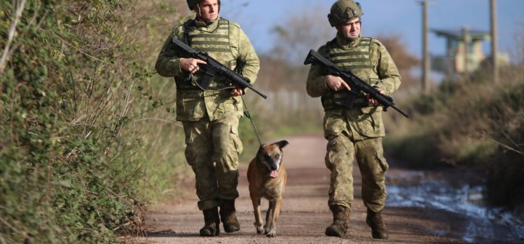 TSK'nın devriye köpekleri Mehmetçiğe destek sağlıyor