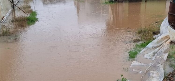 Yalova'da taşan dere nedeniyle bazı sokak ve evleri su bastı