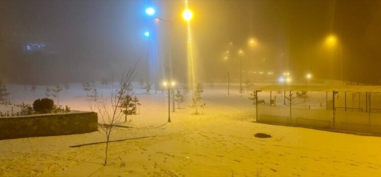 Ardahan'da yoğun sis oluştu