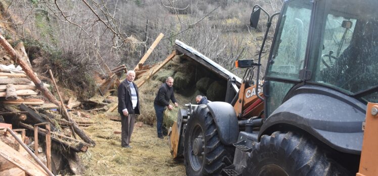 Artvin'de heyelanda çöken ahırdaki iki büyükbaş telef oldu