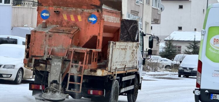 Erzurum, Ardahan ile Kars'ta kar yağışı ve soğuk hava etkili oluyor