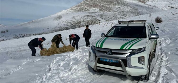 Kahramanmaraş'ta jandarma yaban hayvanları için doğaya yem bıraktı