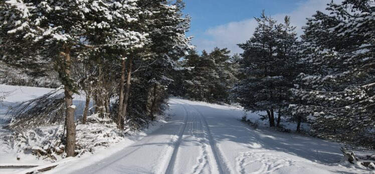 Kastamonu'da kar yağışı etkili oluyor