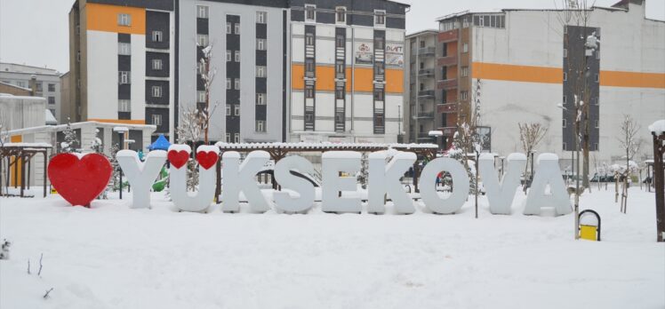 Van, Hakkari, Bitlis ve Muş'ta 1277 yerleşim birimine ulaşım sağlanamıyor