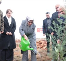 Aile ve Sosyal Hizmetler Bakanı Göktaş, “Deprem Şehitleri Ormanı”nın ilk fidanını dikti: