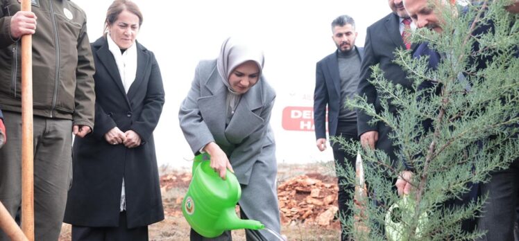 Aile ve Sosyal Hizmetler Bakanı Göktaş, “Deprem Şehitleri Ormanı”nın ilk fidanını dikti: