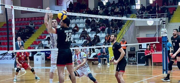 Voleybol: AXA Sigorta Efeler Ligi