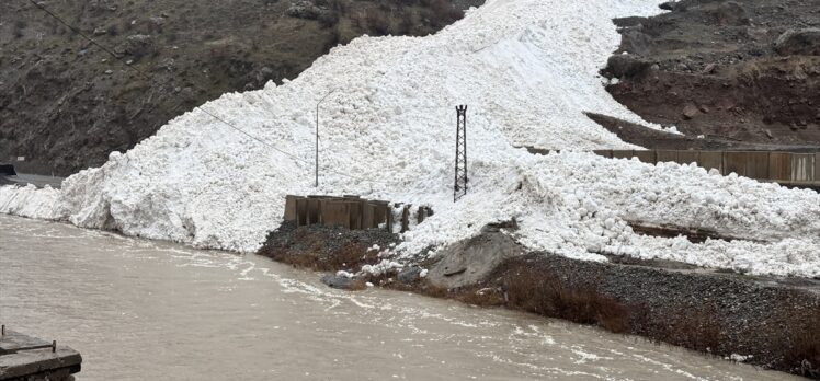 Hakkari-Çukurca kara yolu çığ nedeniyle kapandı