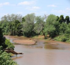 Kruger Ulusal Parkı'nın yerlilerinden Makuleke kabilesi vahşi doğa turizmiyle kalkınıyor