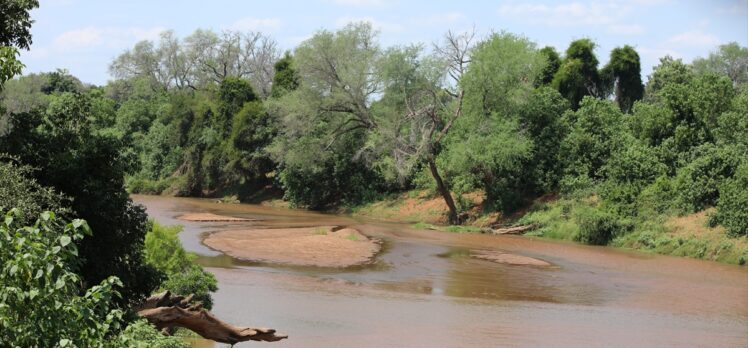 Kruger Ulusal Parkı'nın yerlilerinden Makuleke kabilesi vahşi doğa turizmiyle kalkınıyor