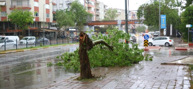 Antalya'da fırtınada devrilen ağaçlar ve uçan çatı parçaları ekiplerce temizlendi