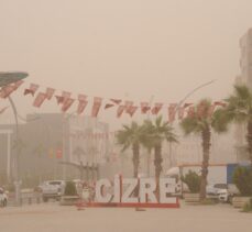 Güneydoğu'da toz taşınımı etkili oldu