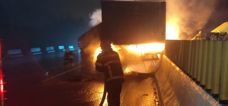 Adana'da refüje çarpan tır yandı