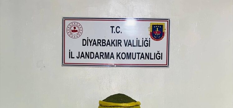 Diyarbakır'da 300 bin kök skunk, 34 bin 500 kök kenevir ele geçirildi