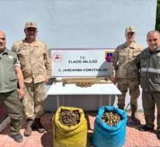 Elazığ'da 98,5 kilogram salep soğanını kaçak toplayan 4 kişi yakalandı