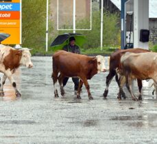 Kars ve Erzurum'da sağanak ve dolu etkili oldu