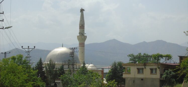 Leylek yuva yapınca depremde yıkılan minarenin onarılması yine ertelendi