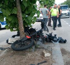 Sakarya'da ağaca çarpan motosikletin sürücüsü öldü