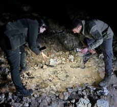 Şanlıurfa'da “Leopar keleri” görüntülendi