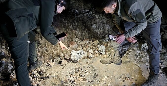 Şanlıurfa'da “Leopar keleri” görüntülendi