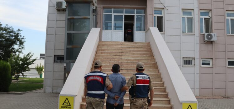 Şanlıurfa'da terör örgütü PKK'ya yönelik operasyonda 11 şüpheli yakalandı